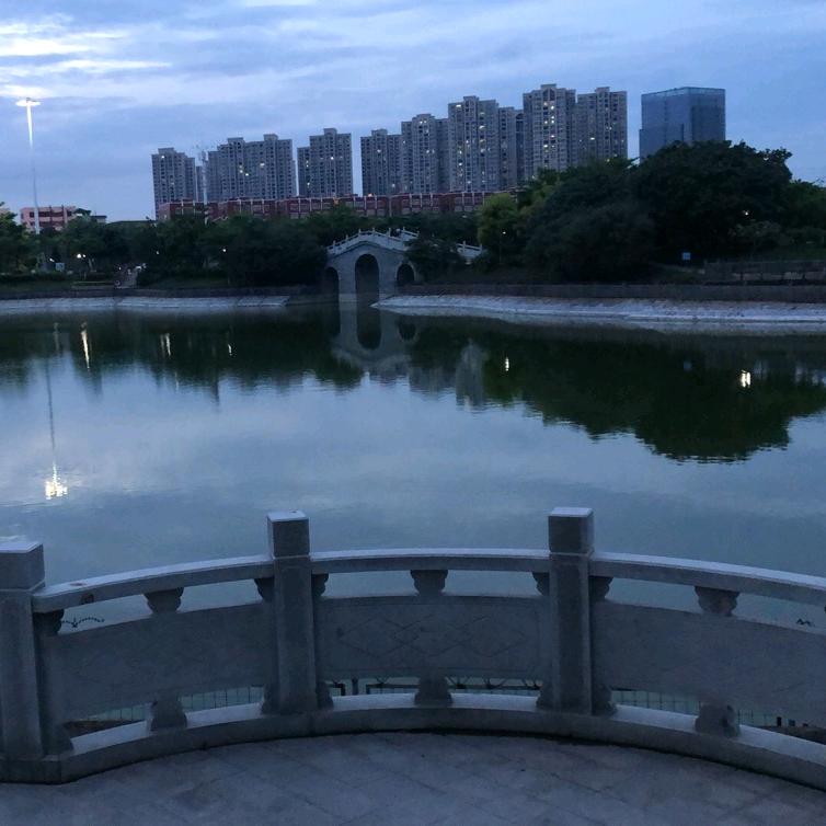 迈号好物