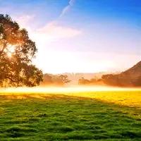 🌷冬日暖阳🌷66