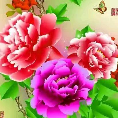 花开富贵😊