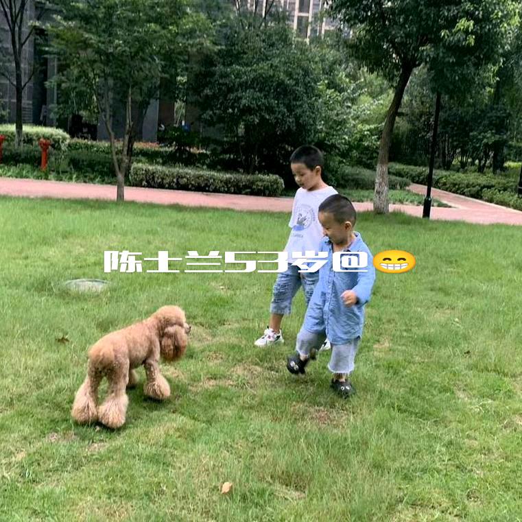 陈陈