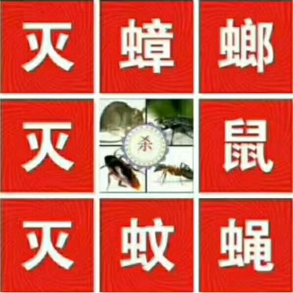 专业灭蟑螂，老鼠
