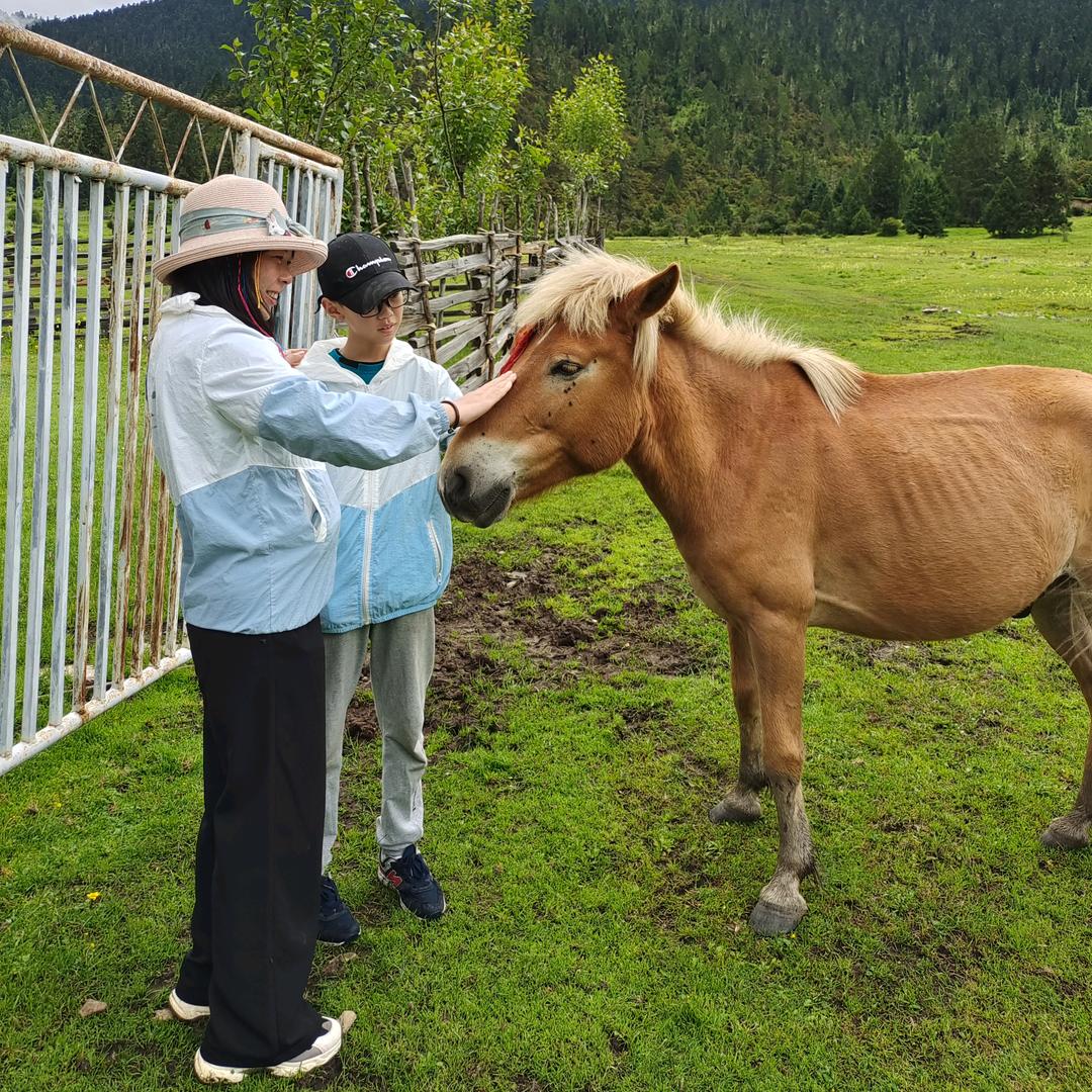 🇨🇳月萍纯手工私房