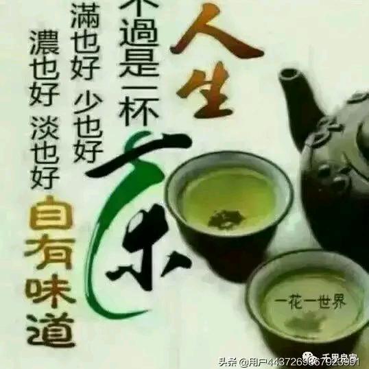 茶之人生