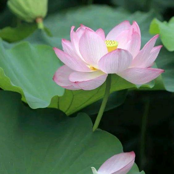 似水流年
