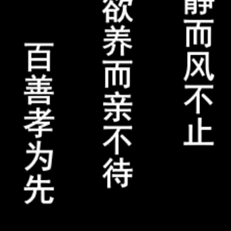 爱你不悔