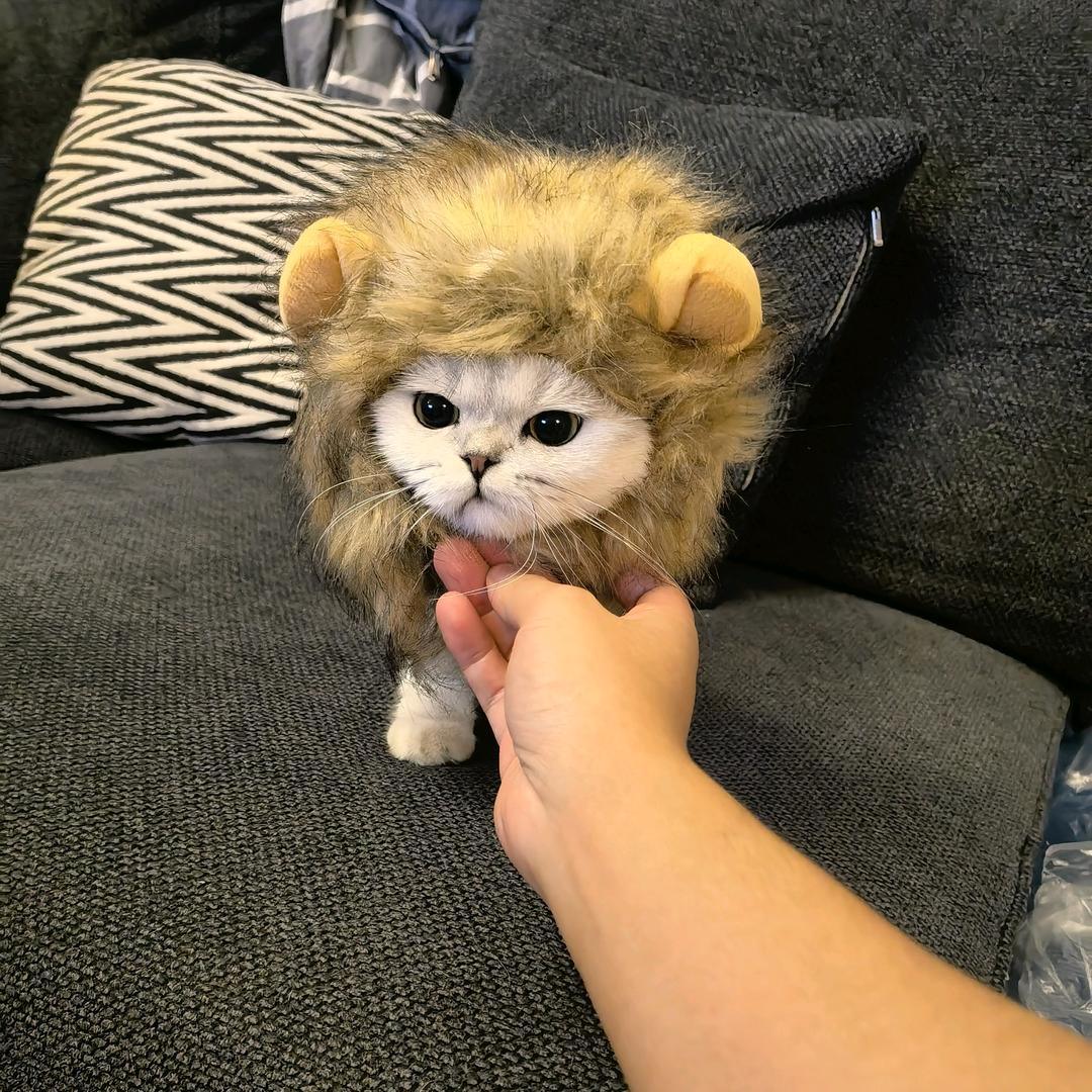 问天