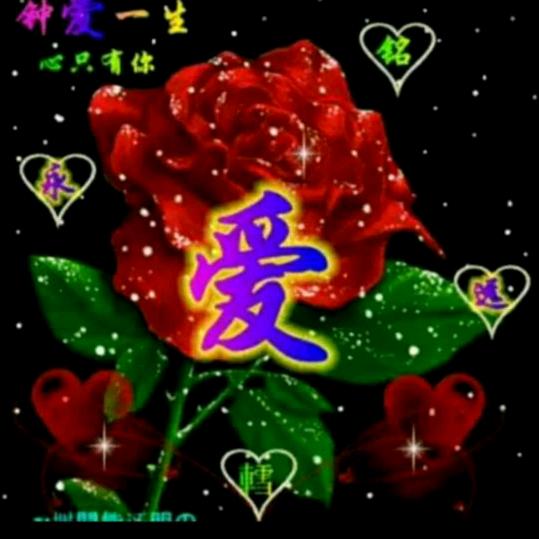 随心所爱，😂😂