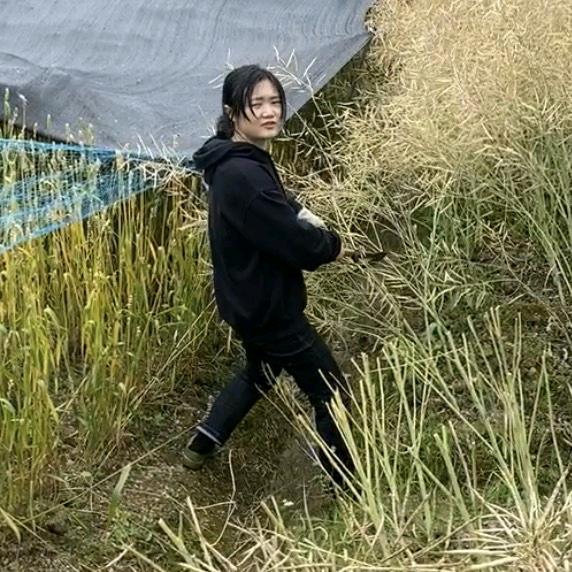 乡村莹莹纯正土黄牛肉