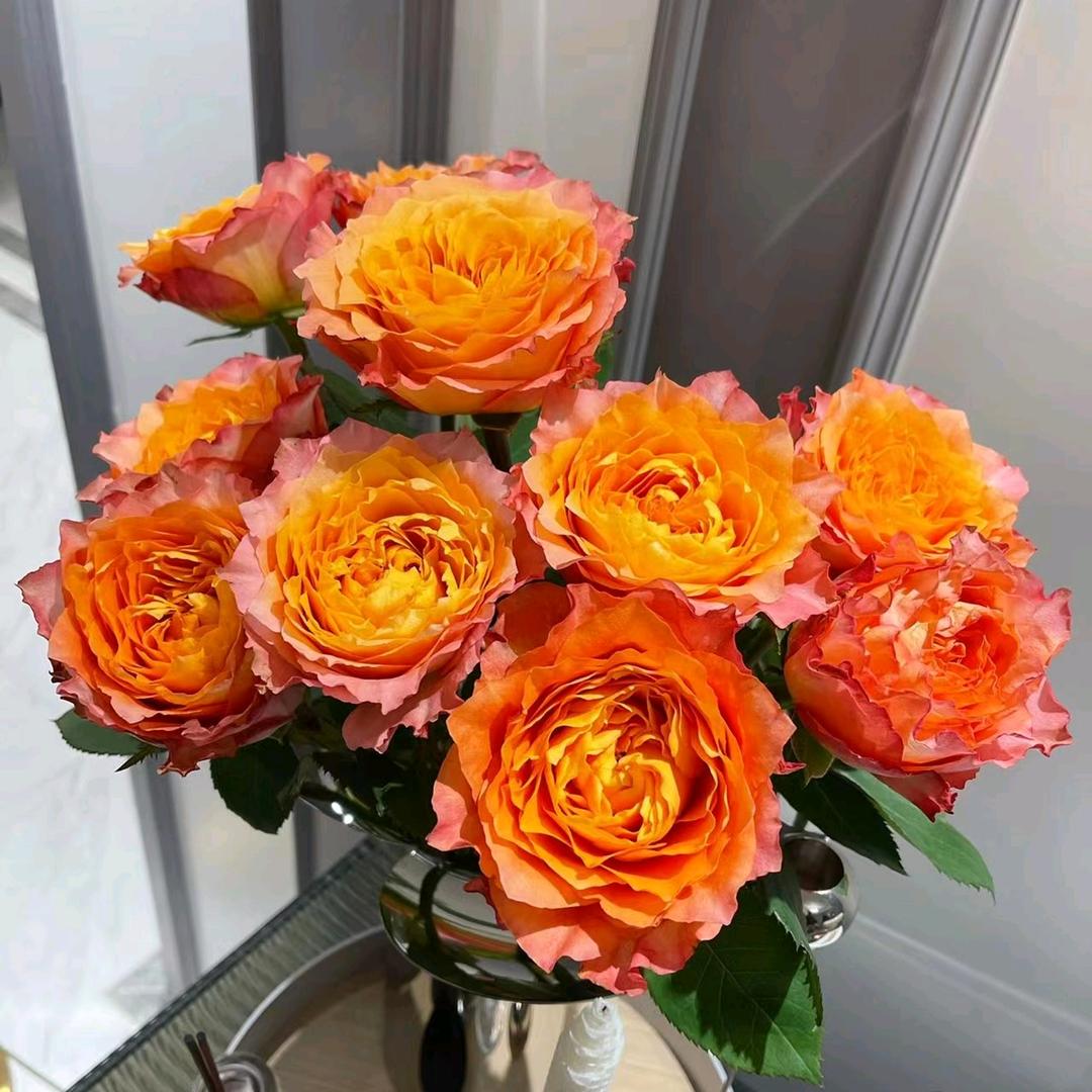 军中木兰🌸赵