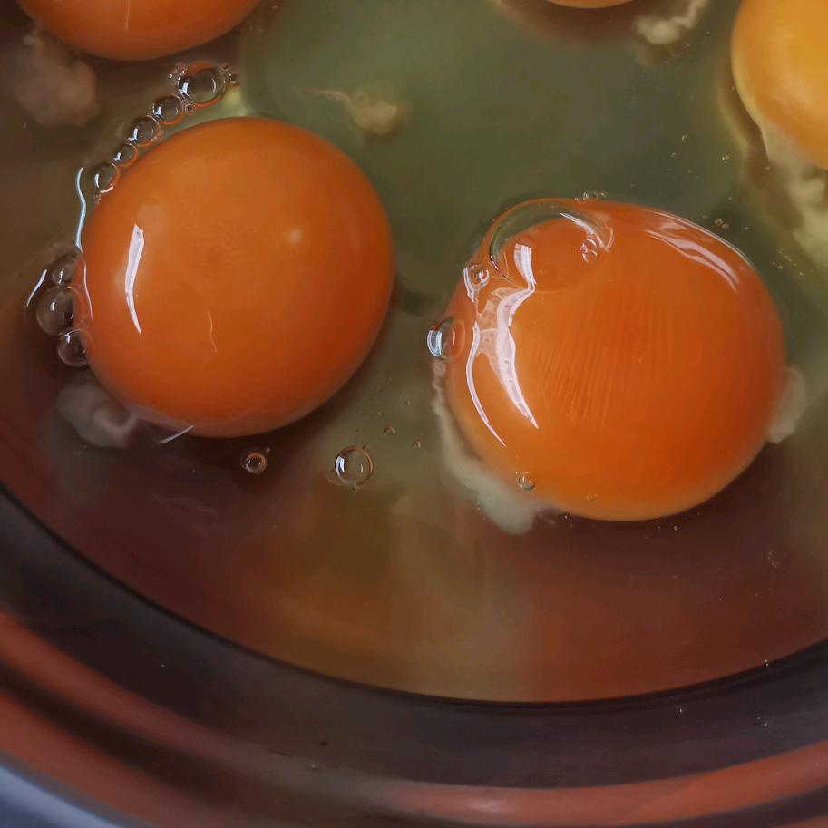 贵州多美仕农业有限公司