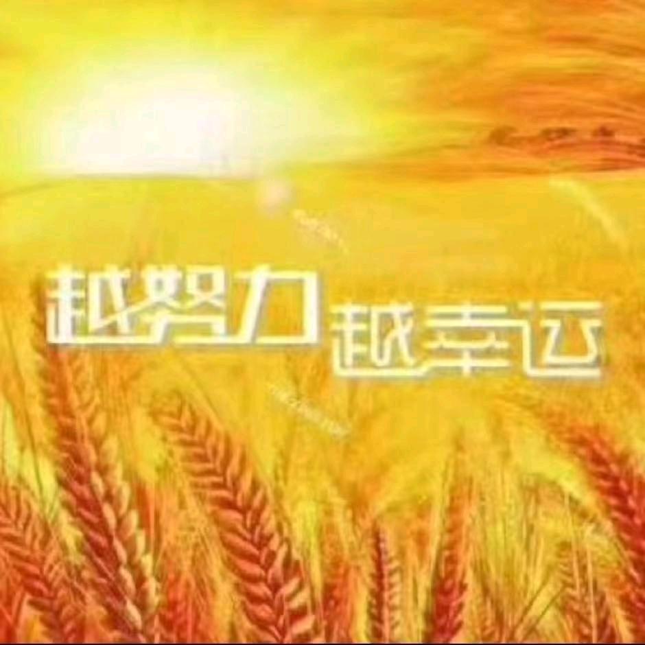 惊鸿快抢