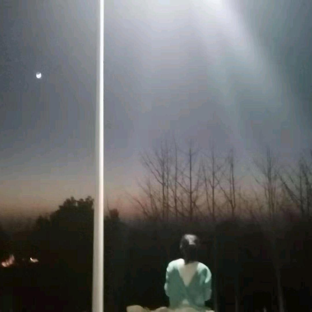 芳