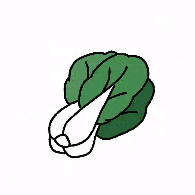 白色的菜