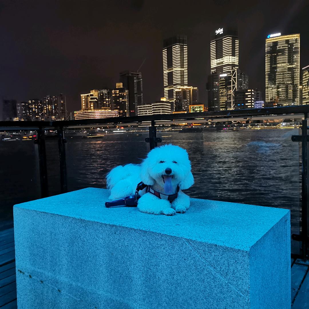 ღ随心所欲᭄ꦿ࿐