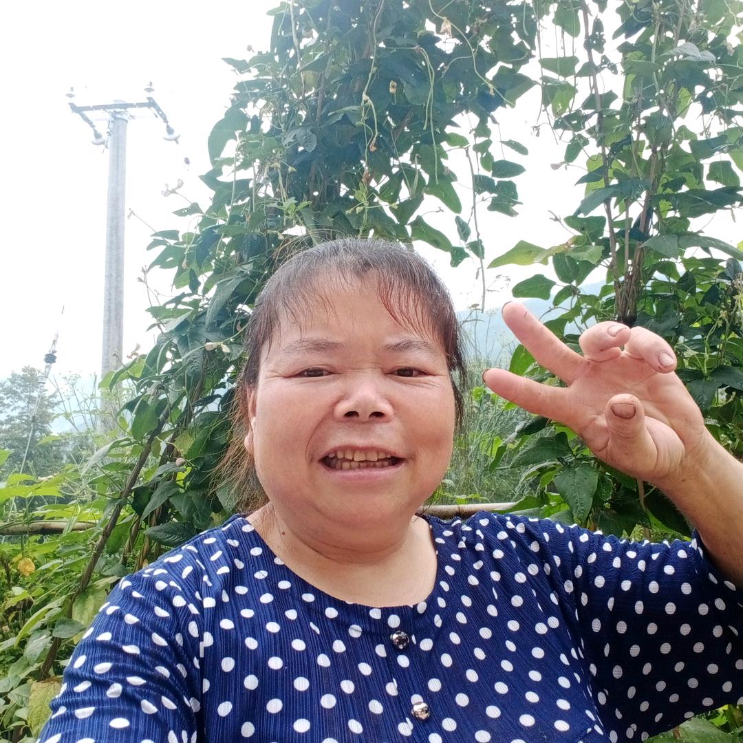 会琼