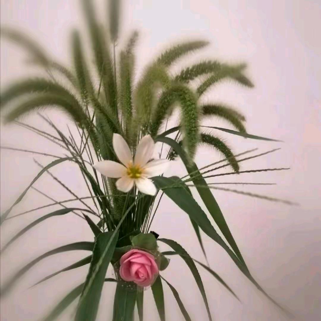 遗忘，从心开始