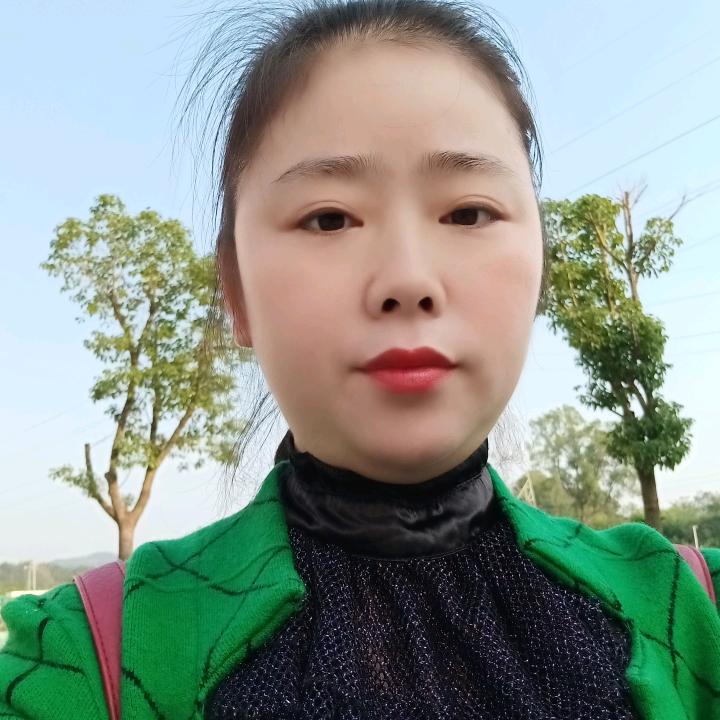 樱花雨落