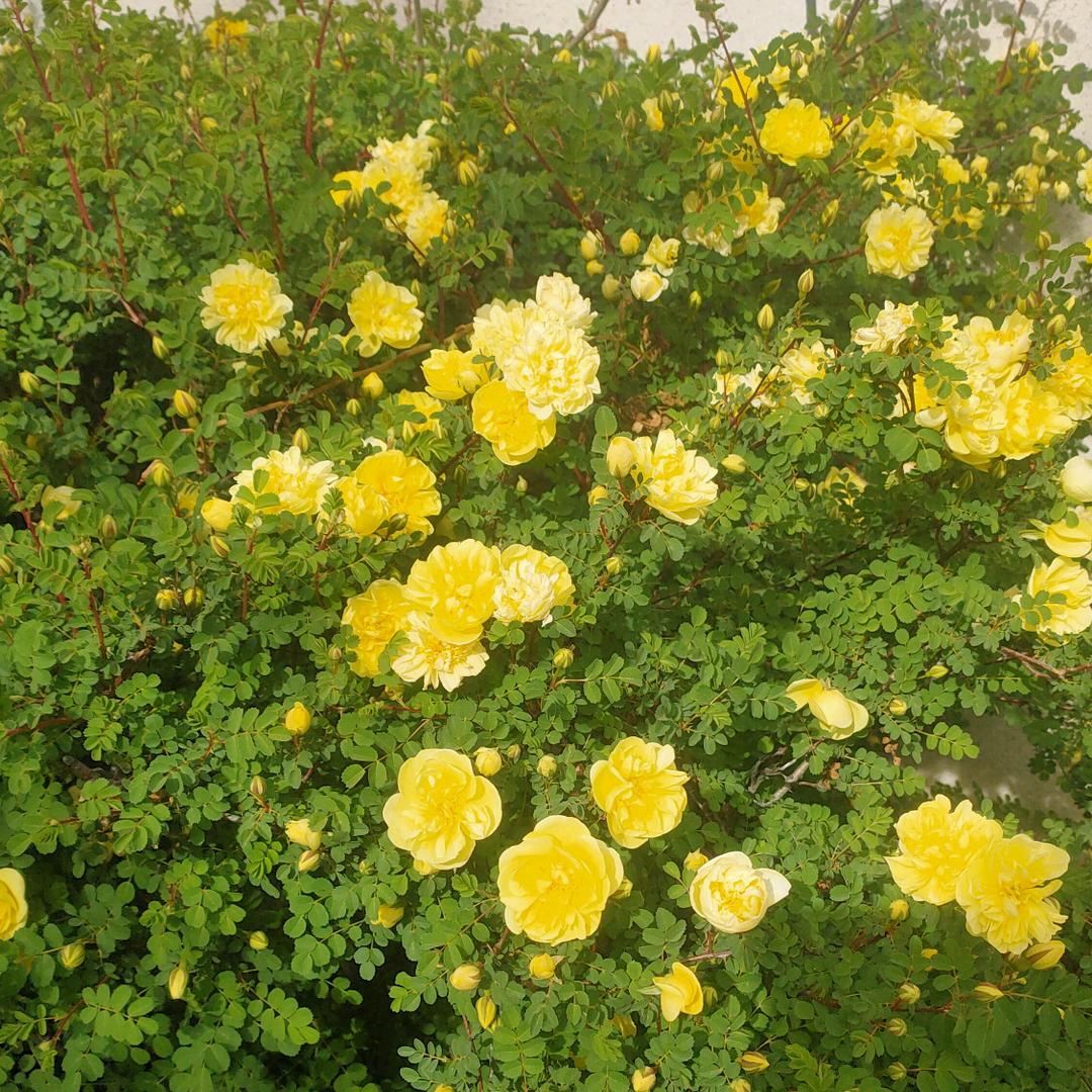 帮助别人 快乐自己