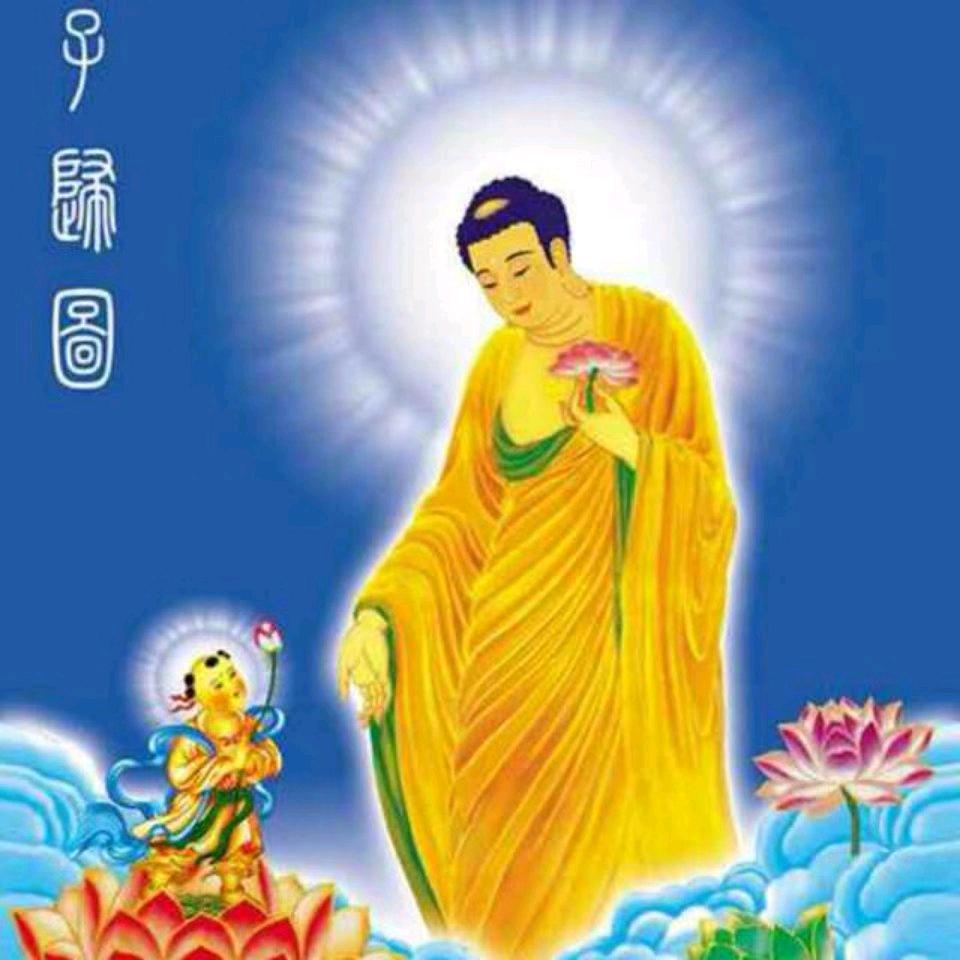 依诺