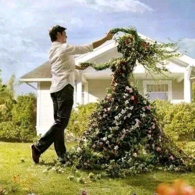 ꧁༺柏༒岚༻꧂