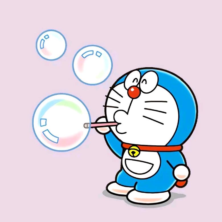 猫 猫