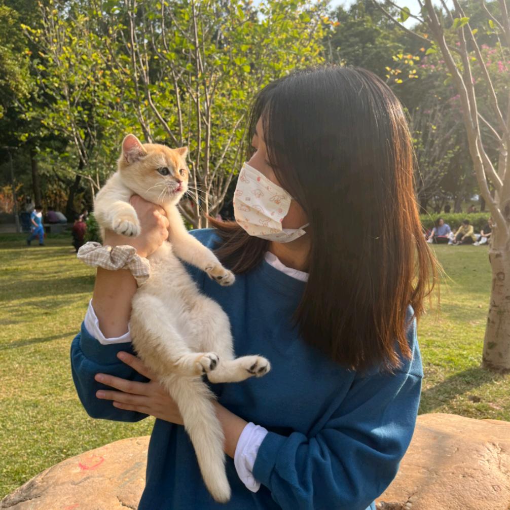 丢丢是只猫