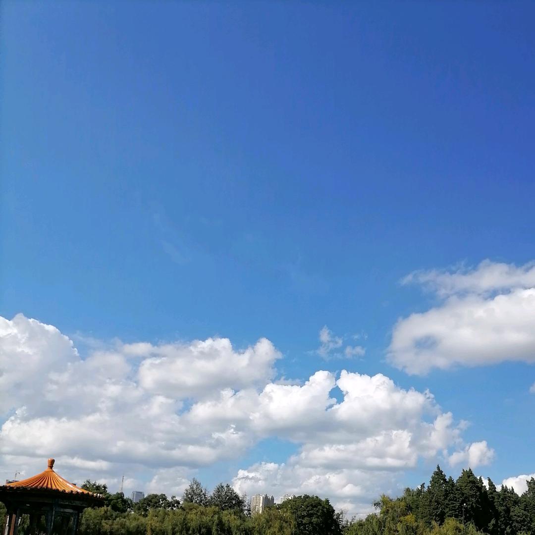 念念哟哟