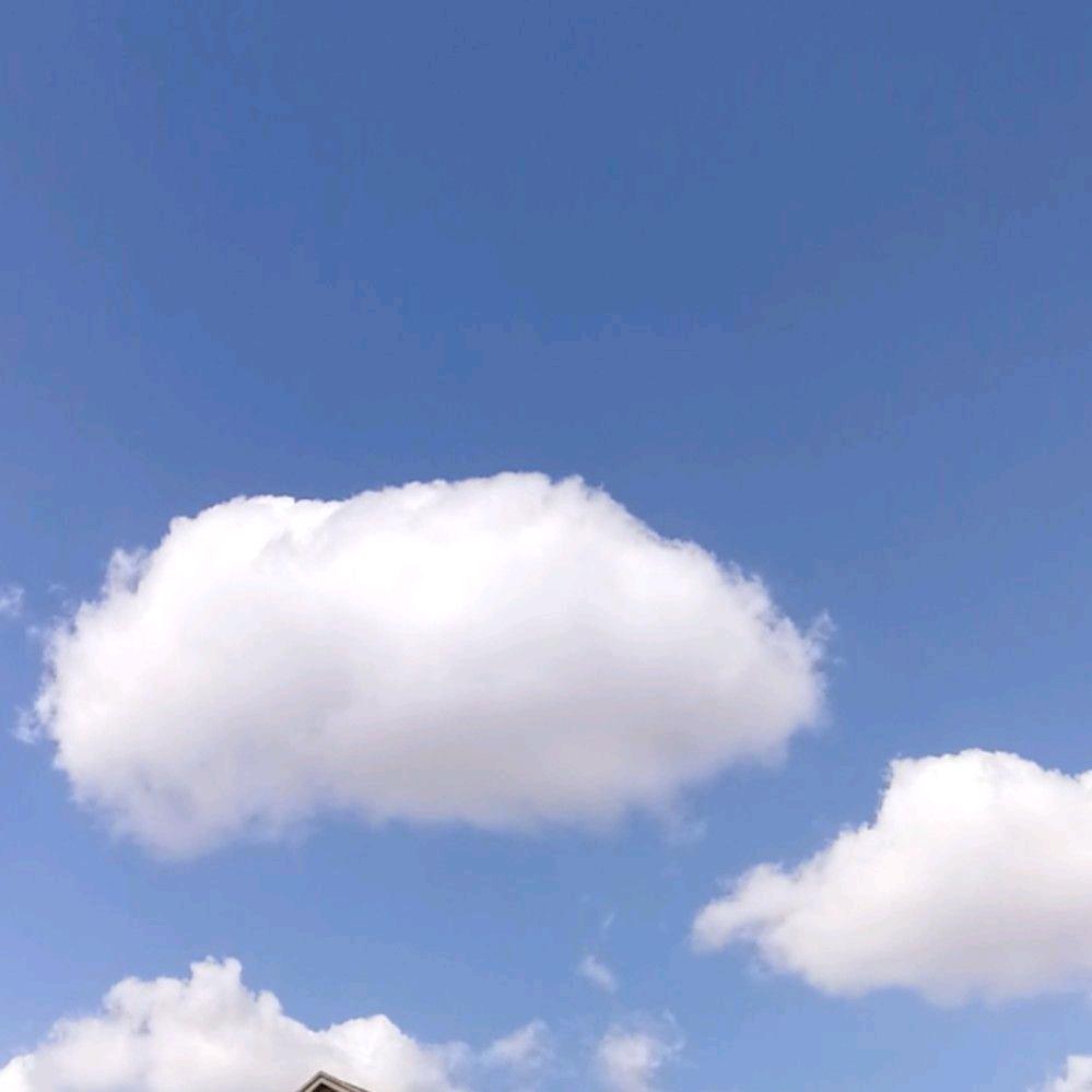 飞花•琳头像