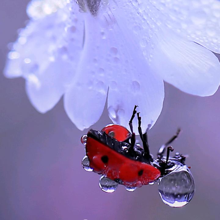 分分钟