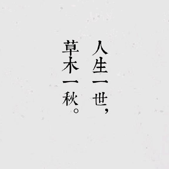 是星辰大海头像