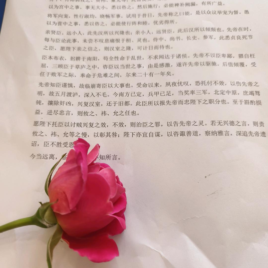 袁不劉⚽