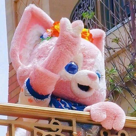 叽里又呱啦