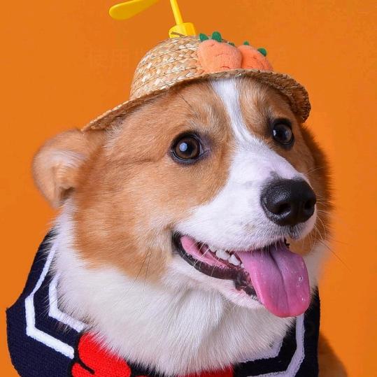 䘅