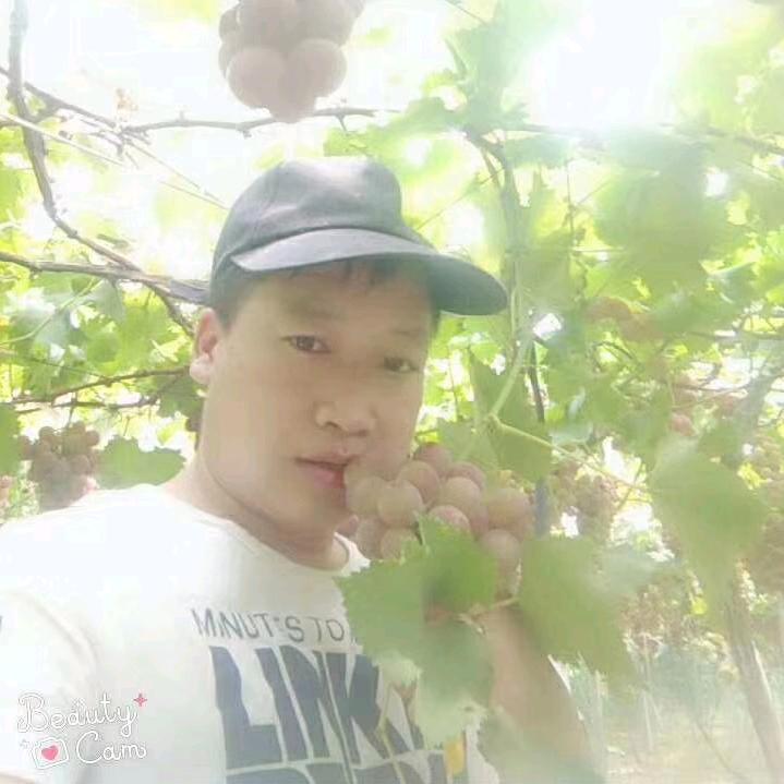 吴哥