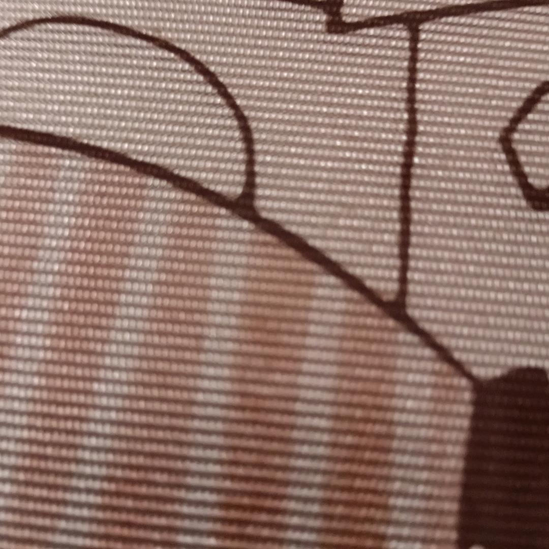 飞哥(˵¯͒〰¯͒˵)