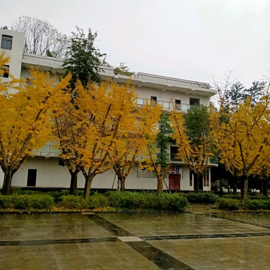 永远爱你