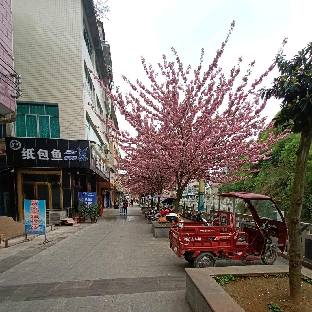 贼二根