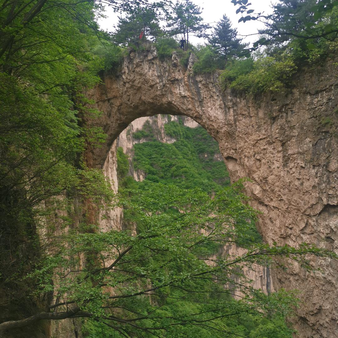 赵全涛