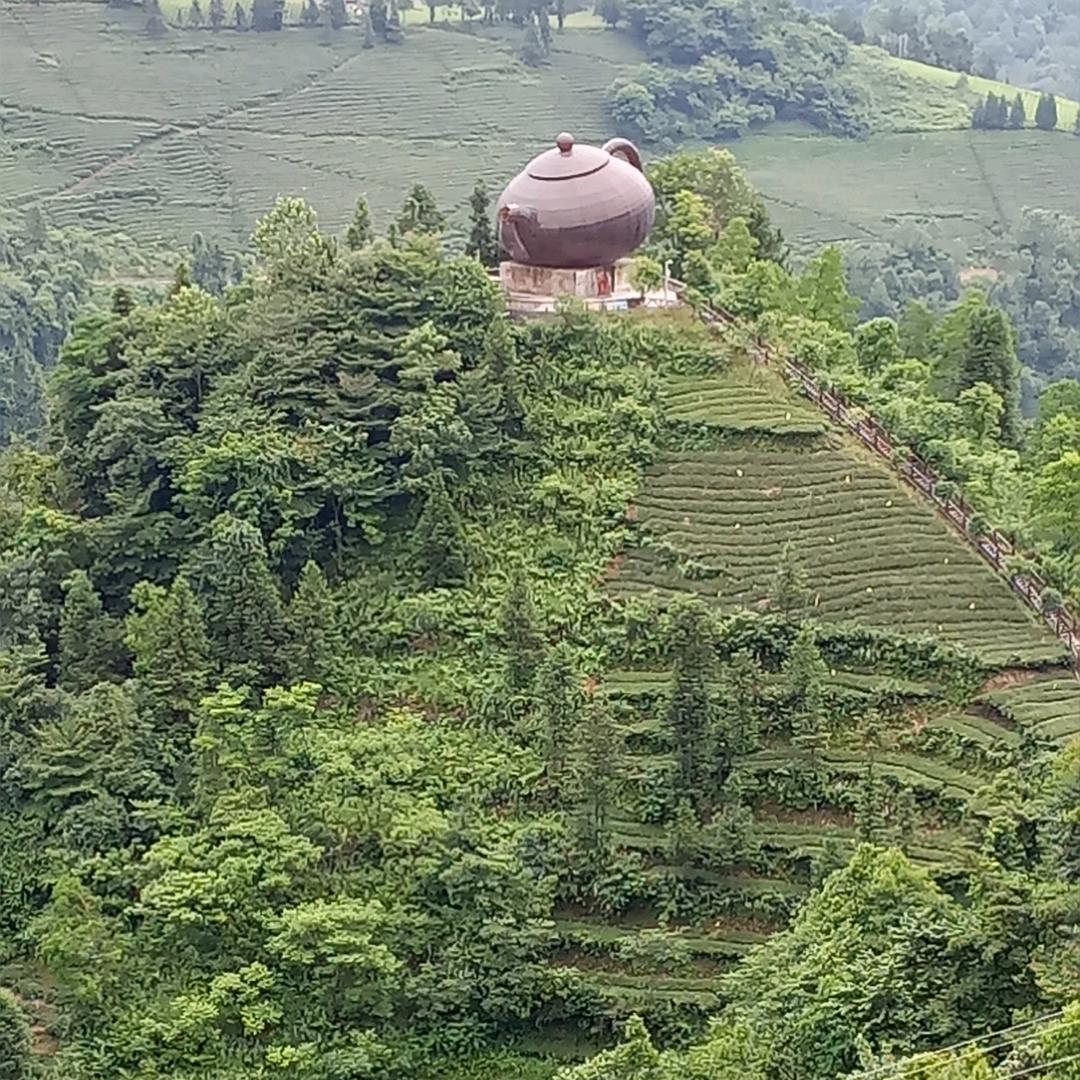 你开心  我快乐