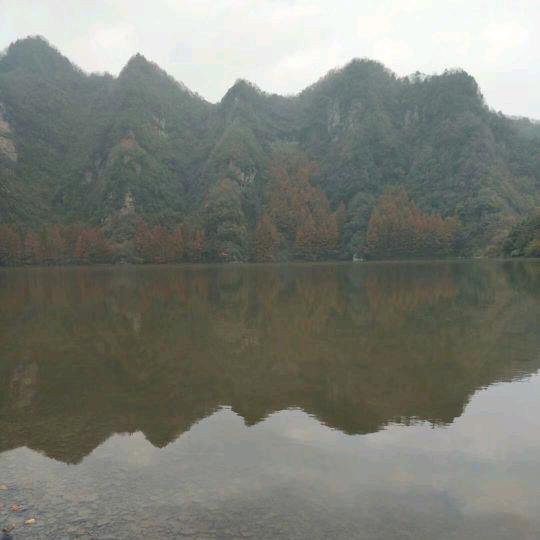 踏雪寻梅