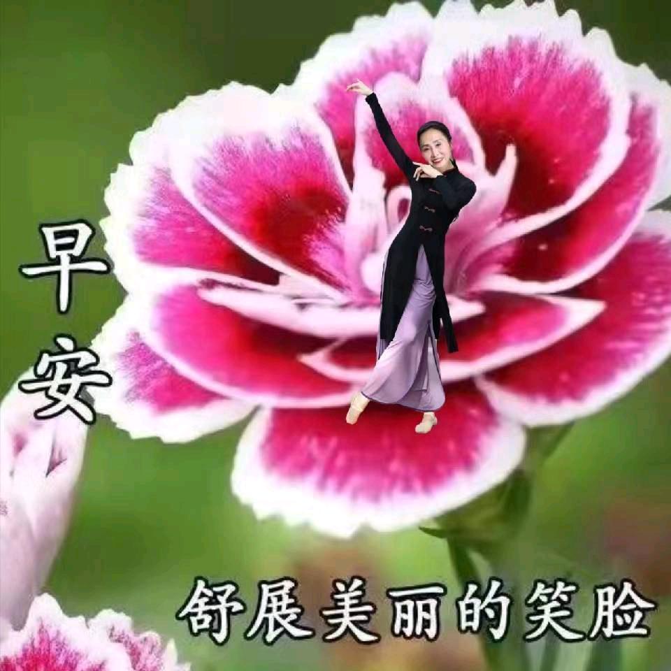 li华华