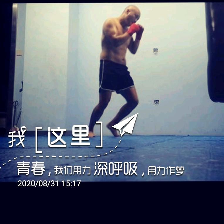拳击腊八哥