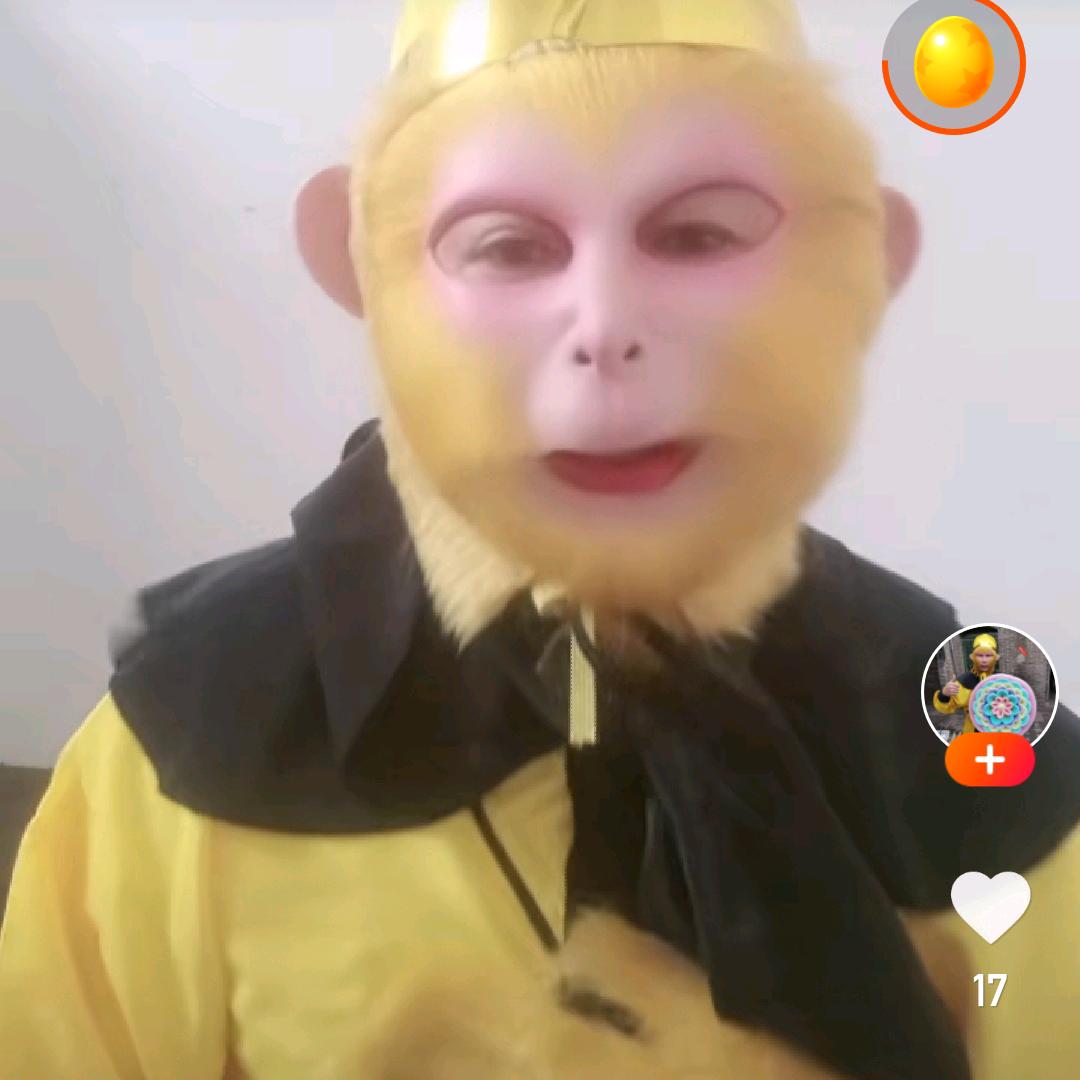 不开口的虎
