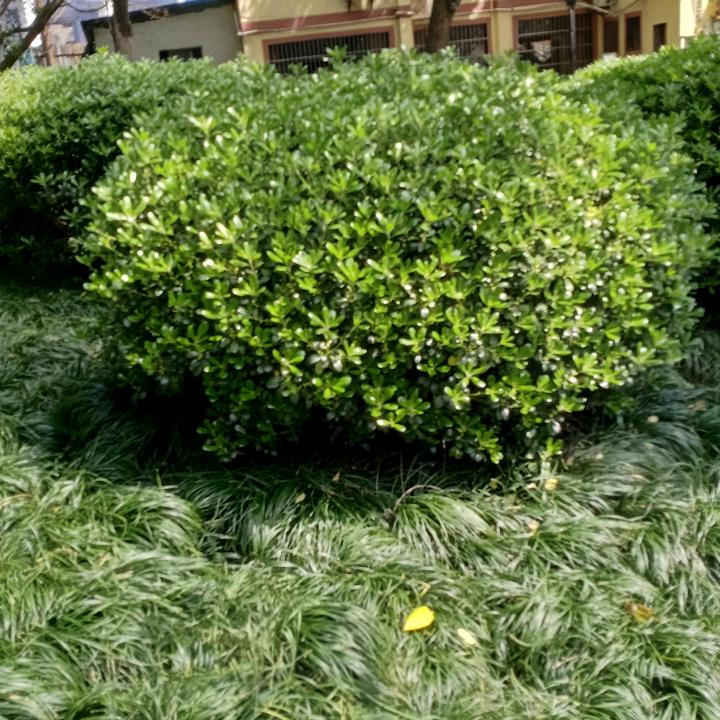 吉安市步行街361度童装感恩遇見，