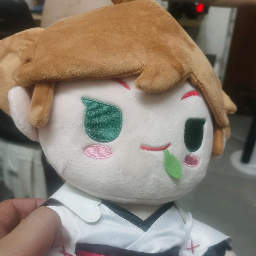 苍木