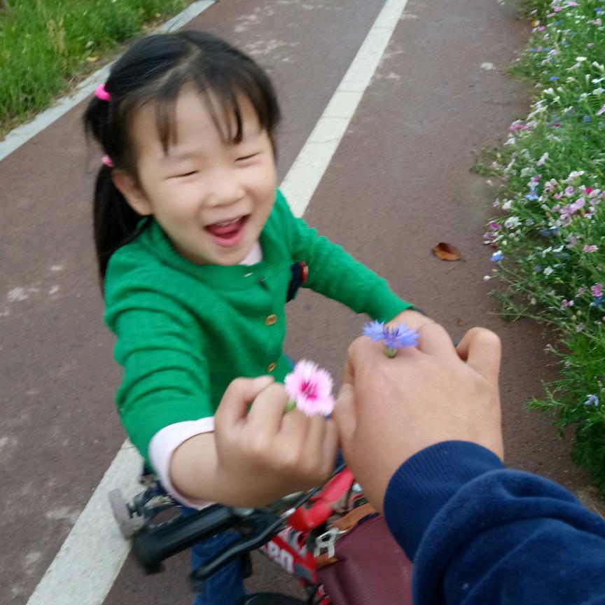 小朵