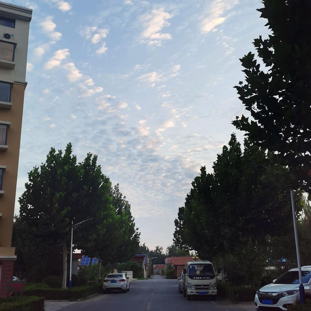 荷花☀️