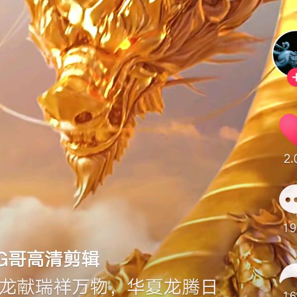 龙的传人