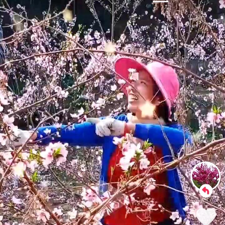东八里果园