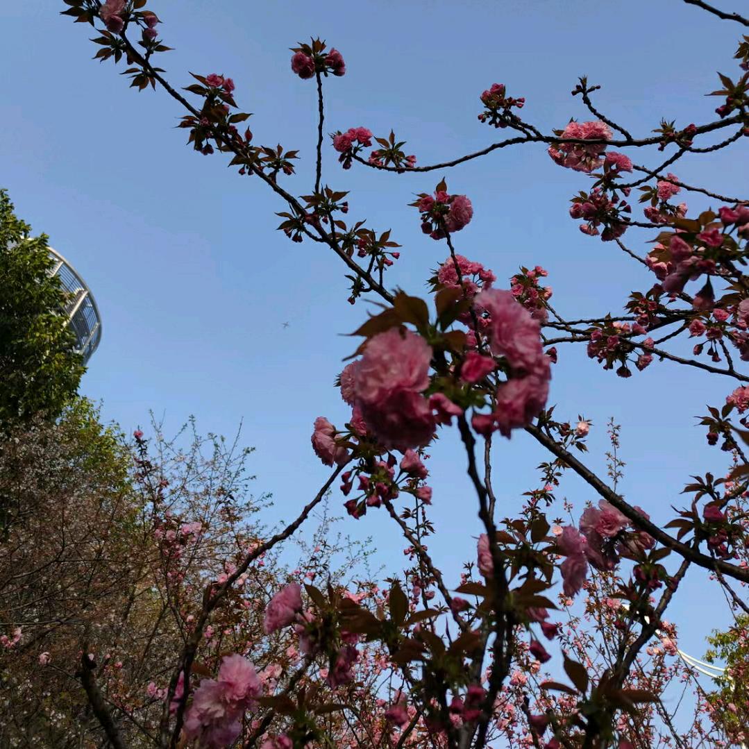 大地